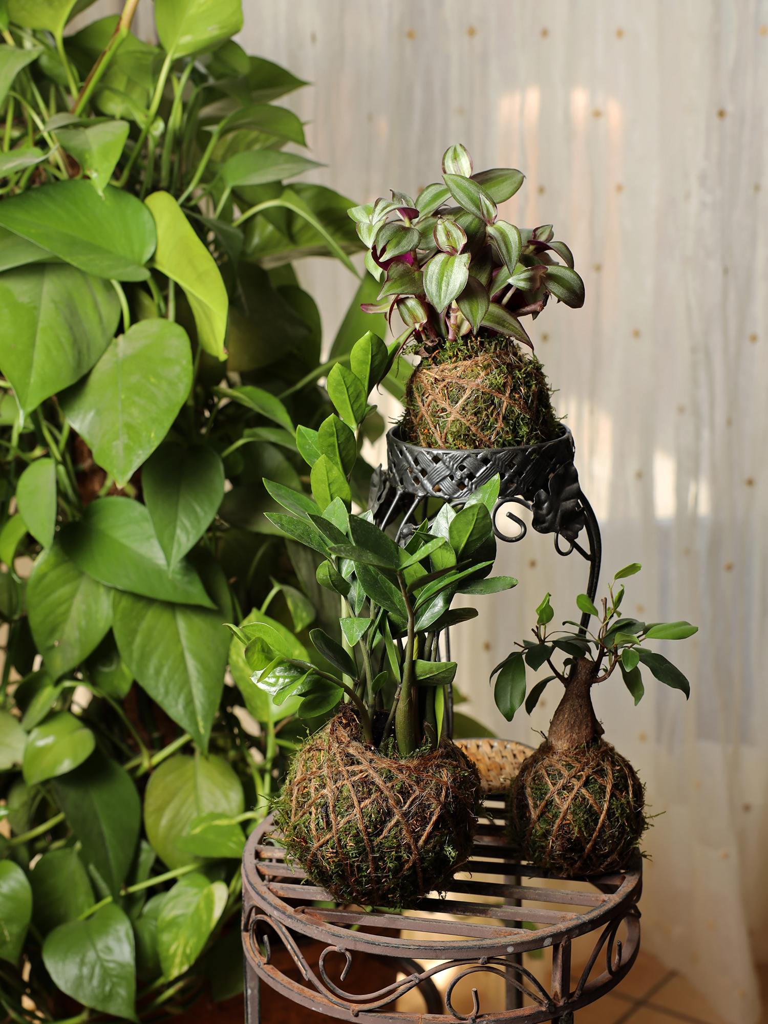 crea-kokedama-5
