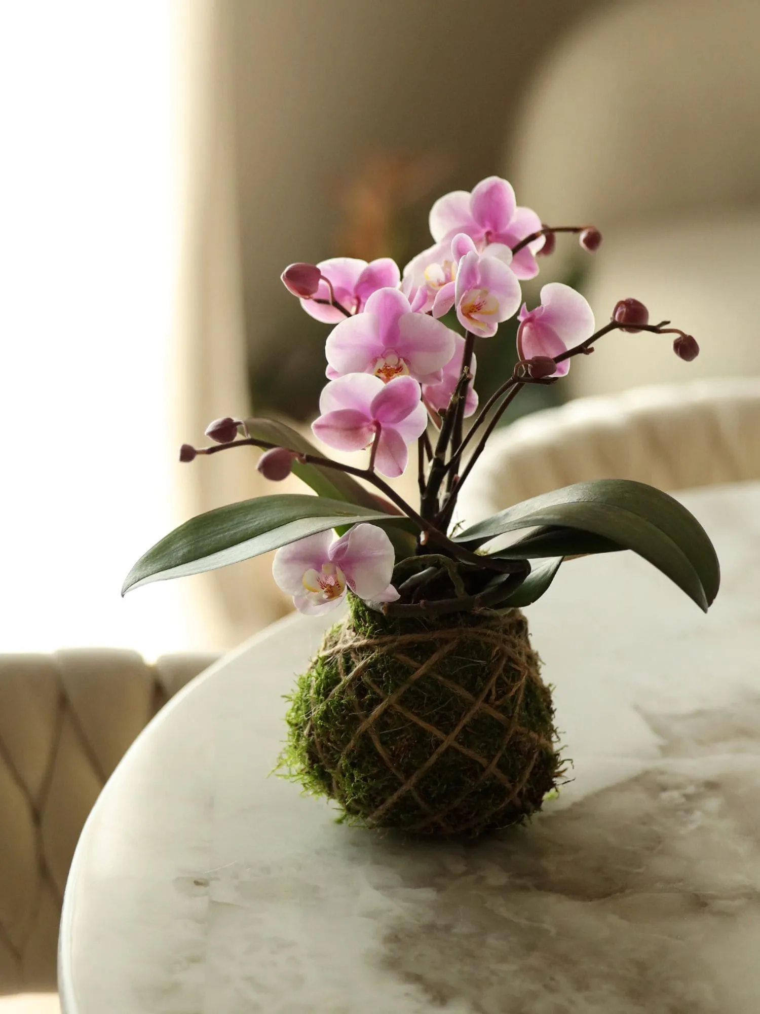 home-3